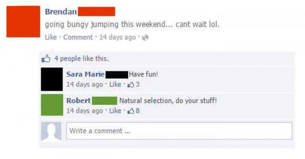 brendan-robert-facebook-troll-bungy-jumping-comments