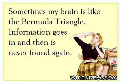 Sometimes my brain is like the Bermuda Triangle. Information goes in and then is never found again ecard