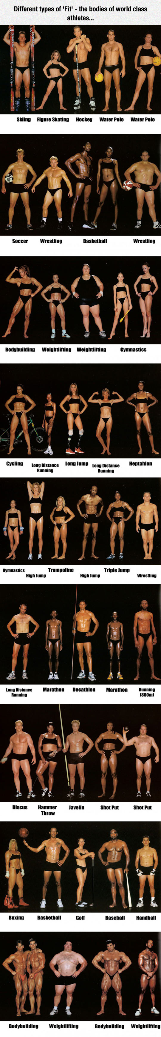 Different types of "Fit" - bodies of world class athletes