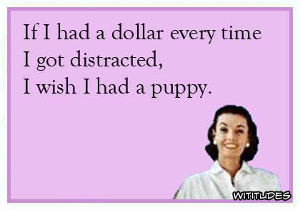 If I had a dollar every time I got distracted, I wish I had a puppy ecard