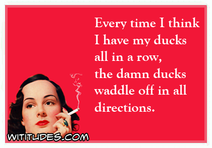 Every time I think I have my ducks all in a row, the damn ducks waddle off in all directions ecard