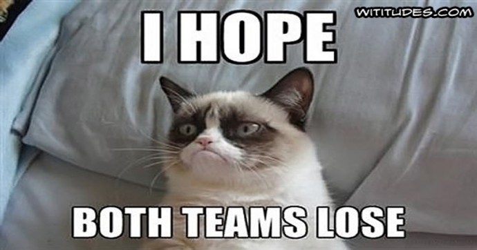 Grumpy Cat - Super Bowl Prediction - Wititudes