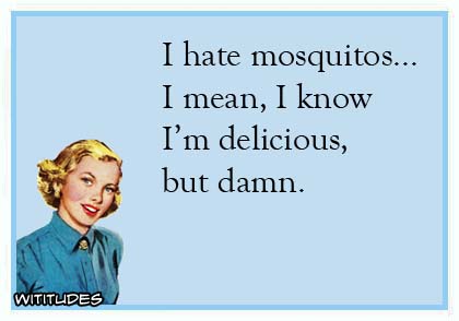 I hate mosquitoes ... I mean, I know I'm delicious, but damn ecard