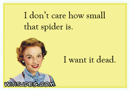 I don't care how small that spider is. I want it dead ecard