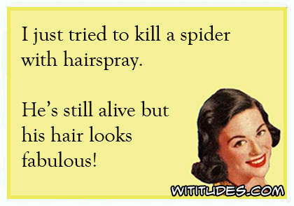 I just tried to kill a spider with hairspray. He's still alive but his hair looks fabulous ecard