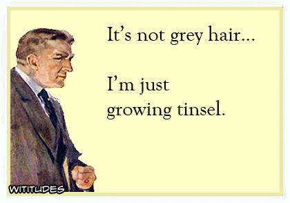 It's not grey hair ... I'm just growing tinsel ecard