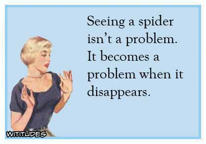 Seeing a spider isn't a problem. It becomes a problem when it disappears ecard