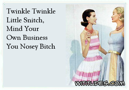 Twinkle twinkle little snitch, mind your own business you nosey bitch ecard