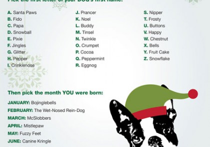 What is your dog's Christmas elf name generator
