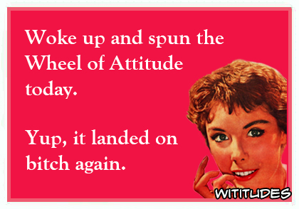 woke up and spun the wheel of attitude today yup it landed on bitch again ecard