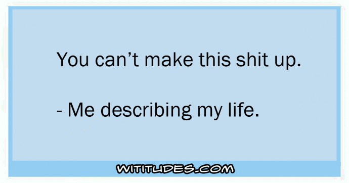 You can't make this up - Me describing my life ecard