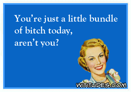 You're just a little bundle of bitch today, aren't you? ecard